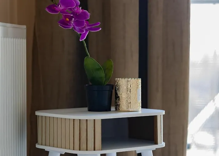 Srebrzynska Klimatyzowane Blisko Manufaktury Parking W Garazu By Renters Prestige *