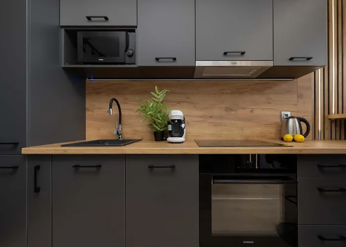 Apartament Srebrzyńska Klimatyzowane Blisko Manufaktury Parking W Garażu By Renters Prestige Łódź