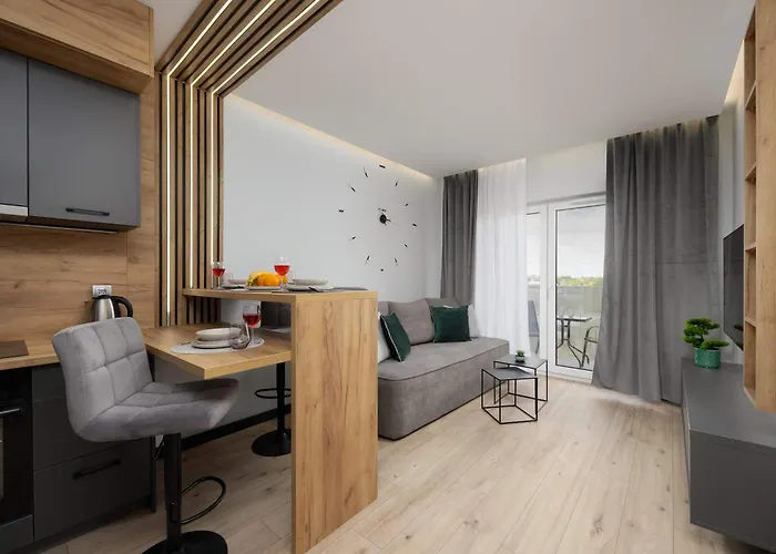 Srebrzynska Klimatyzowane Blisko Manufaktury Parking W Garazu By Renters Prestige 아파트 우치