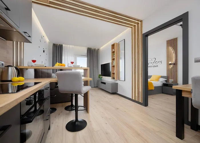 Apartament Srebrzyńska Klimatyzowane Blisko Manufaktury Parking W Garażu By Renters Prestige Łódź